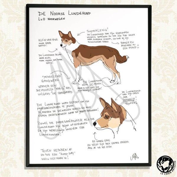 Noorse Lundehund print "Different View"