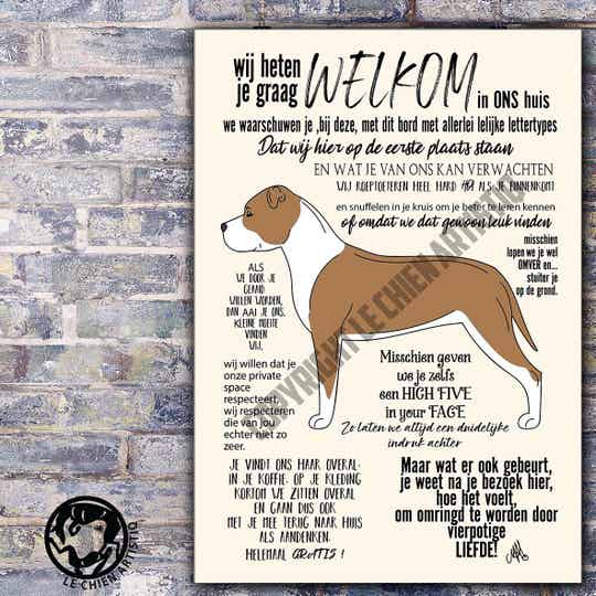 American Staffordshire Terrier ! WELKOM ! TWEE kleurslagen !