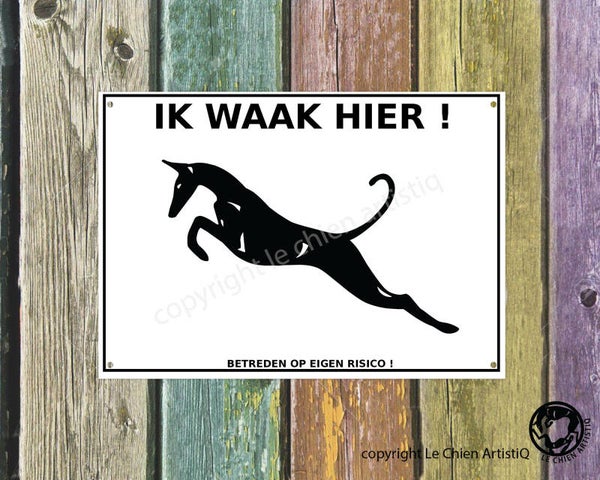 Podenco Ibicenco ! silhouet ! waakbord ( ook in meervoud )