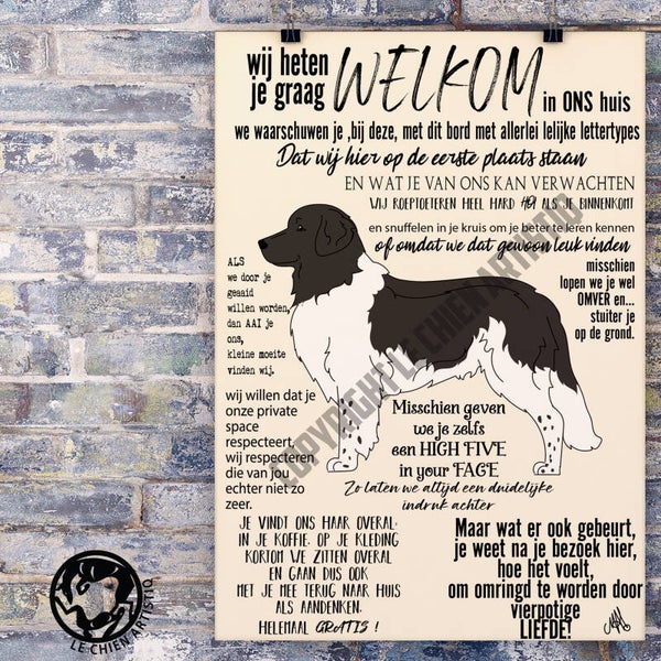 Friese Stabij / Stabyhoun ! WELKOM !