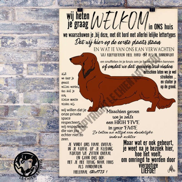 Teckel Langharig ! WELKOM ! diverse kleurslagen !