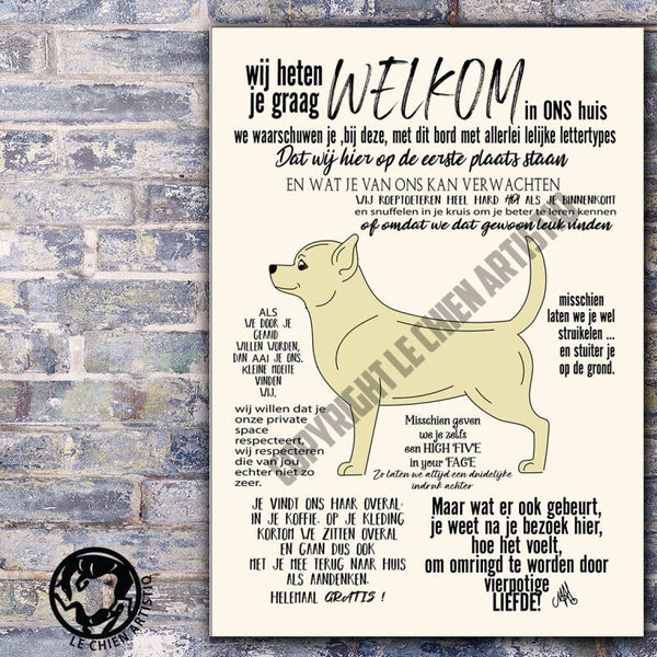 Chihuahua kortharig ! WELKOM ! VIER kleurslagen !