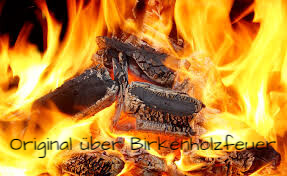 Über echtem Birkenholz Feuer 