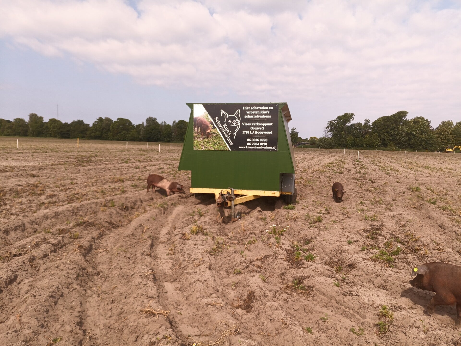 Varkens op land van derde