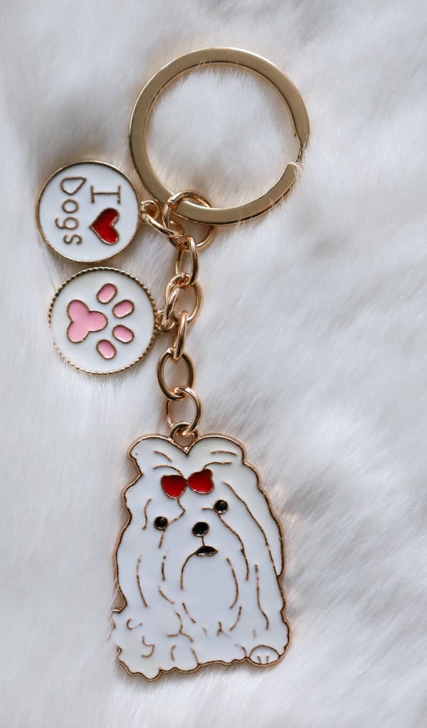 sleutelhanger havenezer