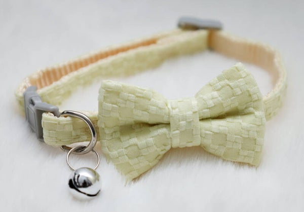 halsband kat / puppy geel