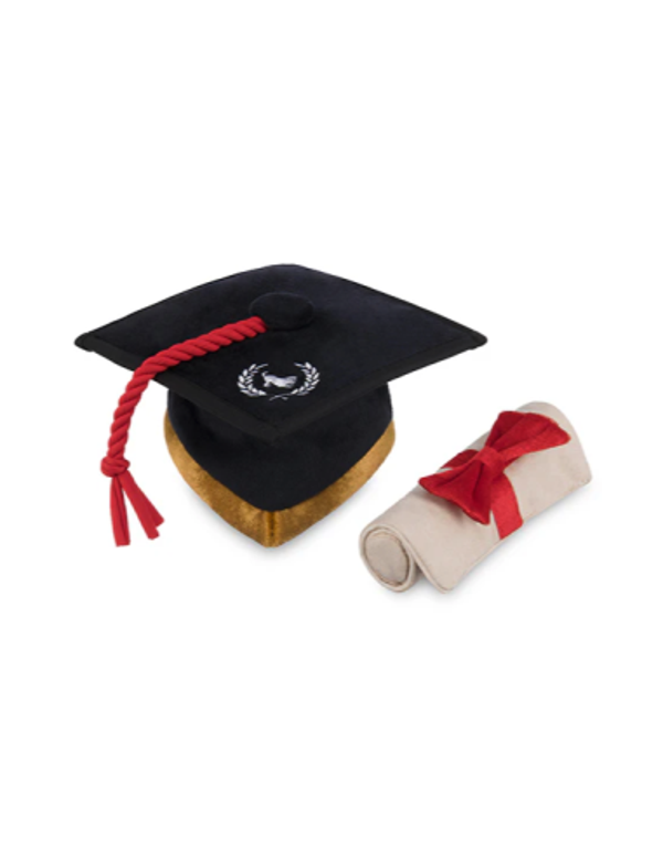 P.L.A.Y. K9 scholar