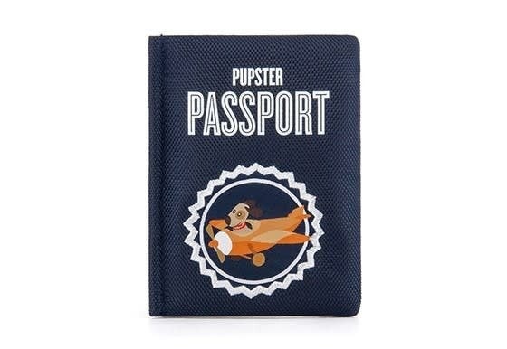 P.L.A.Y. passport