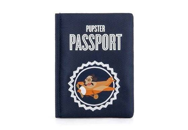 P.L.A.Y. passport