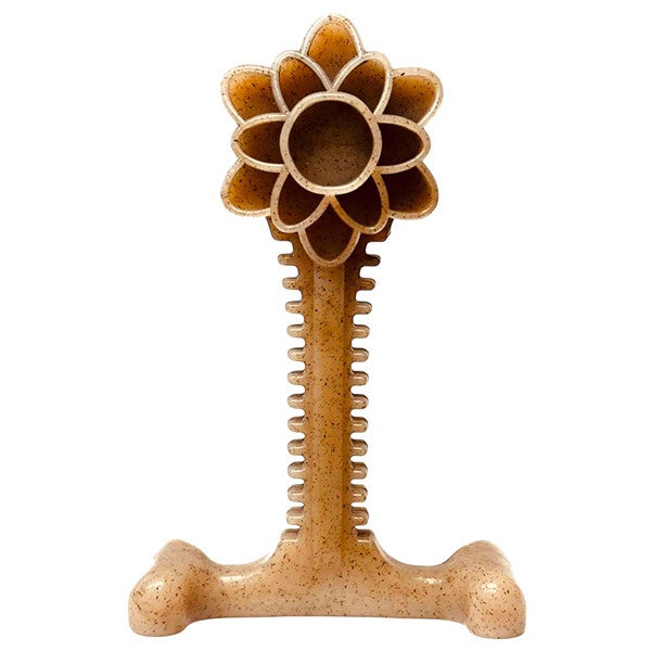 Sodapup honey bonen flower XL