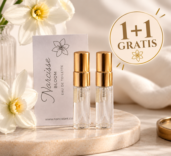 Mini 1+1 gratis
