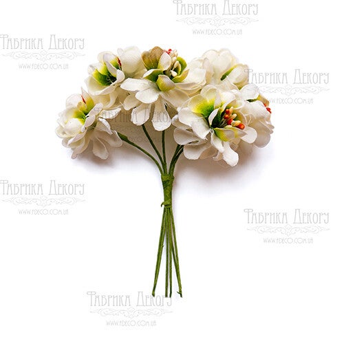 Set of apple flowers white green, 6 stuks