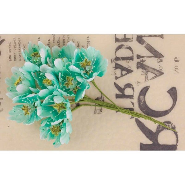 prima flowers lady bird