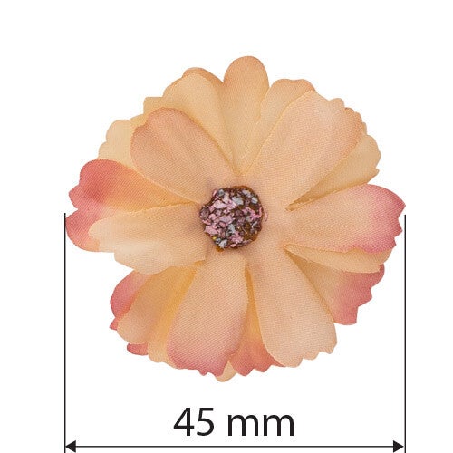 Daisy flower peach with coral 3 stuks