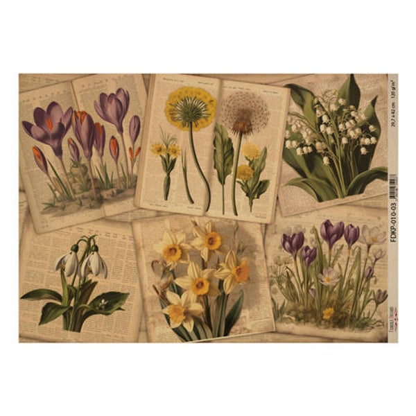 fabrika decoru decoupage papier botany spring 3