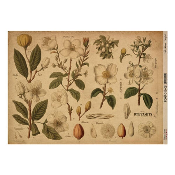 fabrika decoru decoupage papier botany spring 5