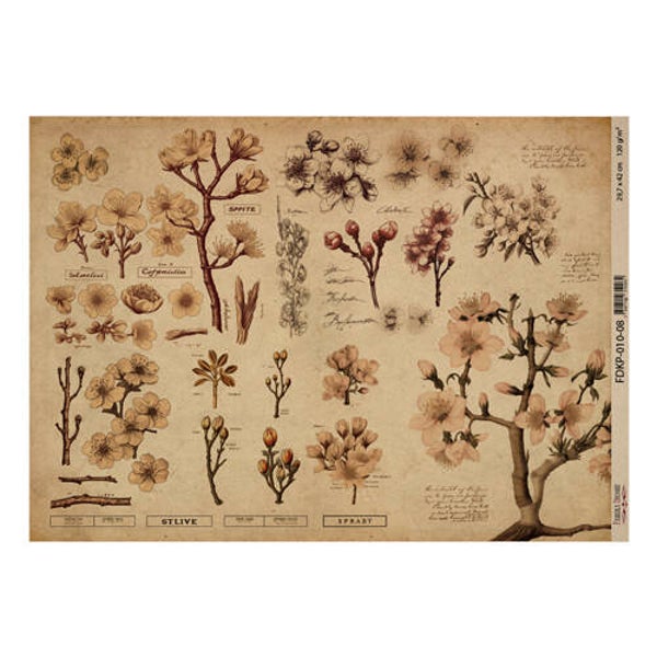 fabrika decoru decoupage papier botany spring 8