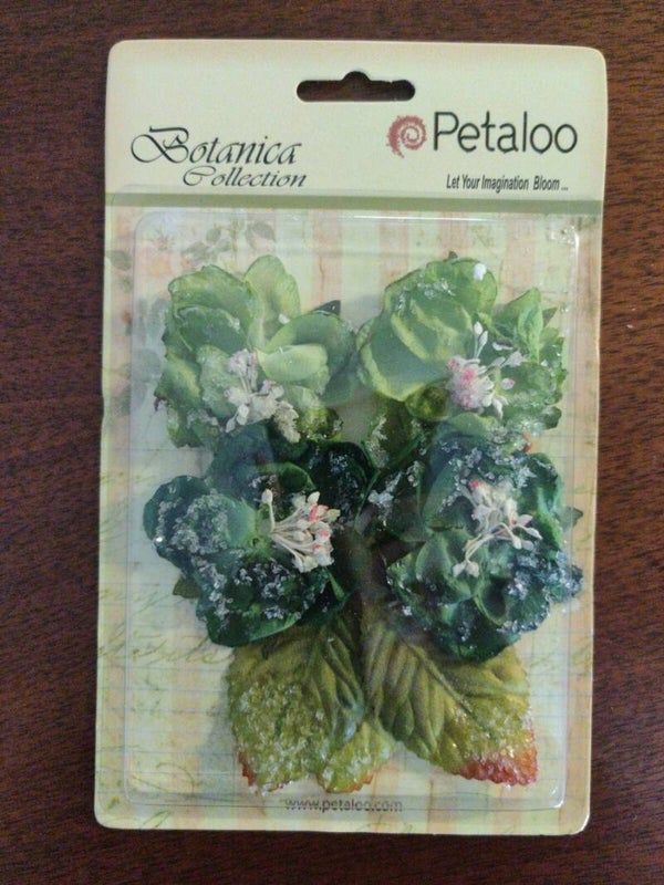 petaloo sugared blooms green