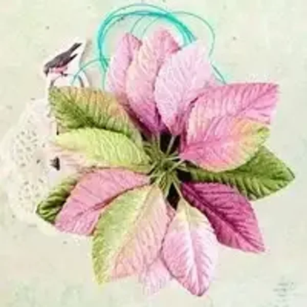 prima flowers royal menagerie patricia