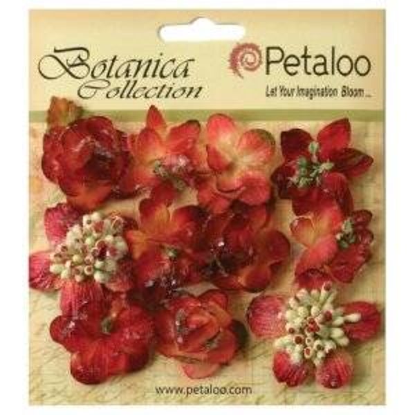 petaloo suga red minis burgundy