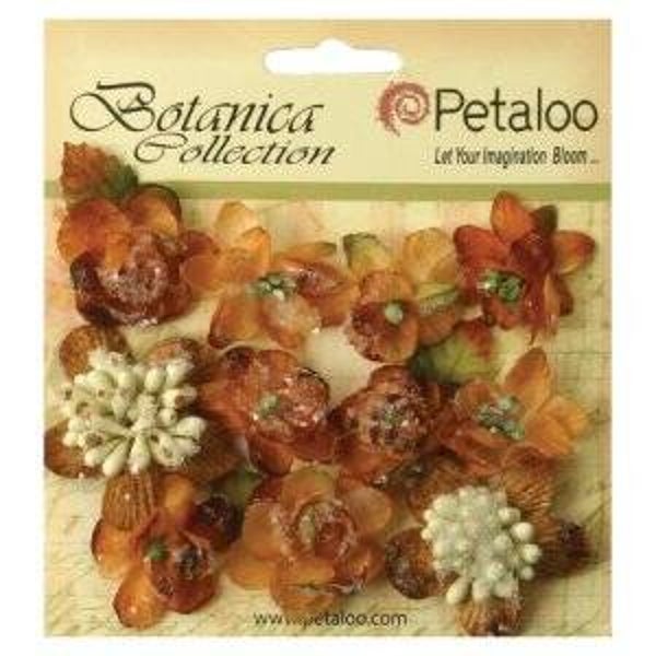 petaloo suga red minis mocha