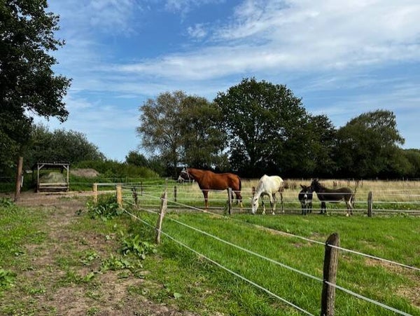 Ont-moeten - vrijdag 22 mei van  10 -12 uur