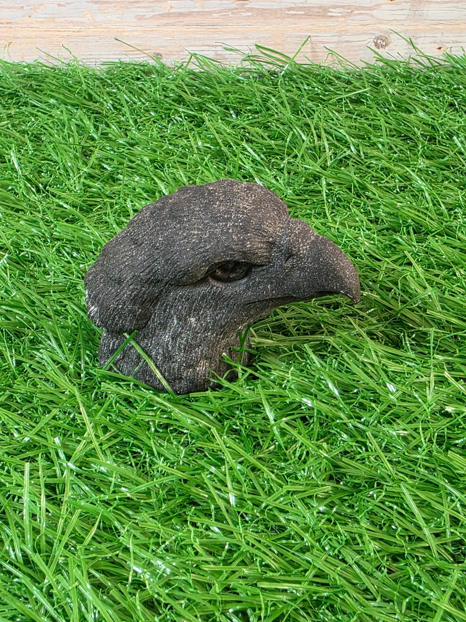 Obsidiaan roofvogel hoofd