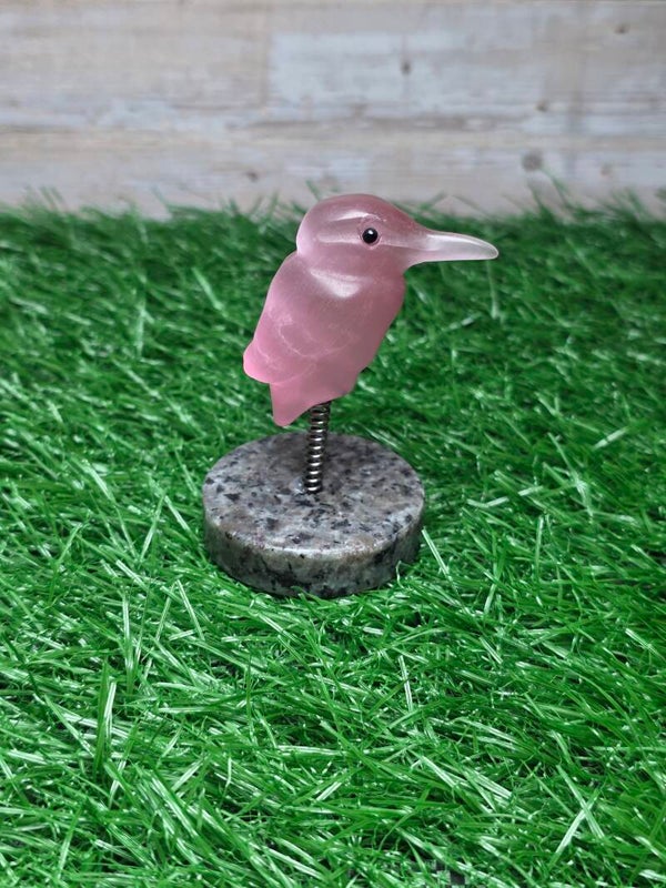 Spiraal Vogel