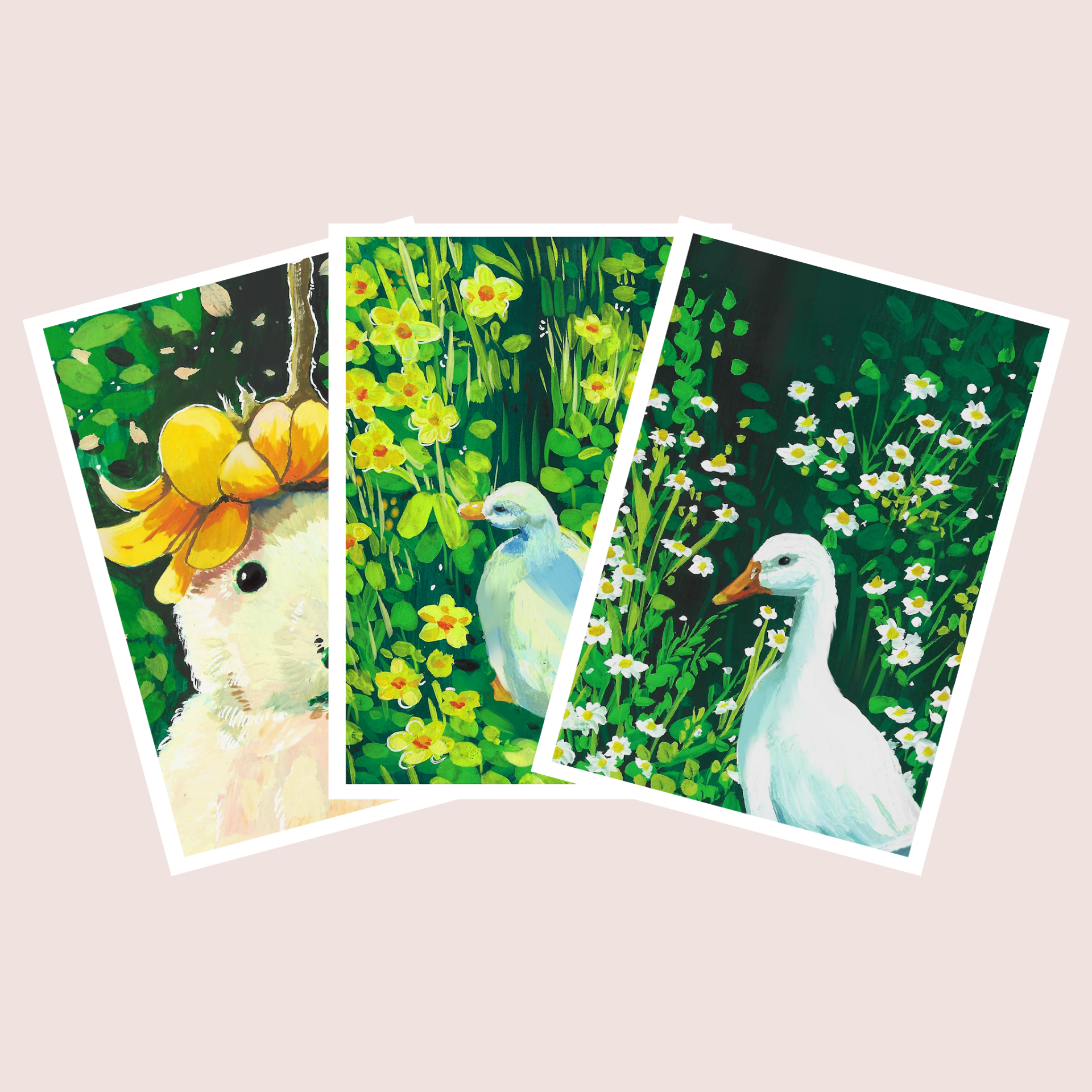 Eenden Print Postcards