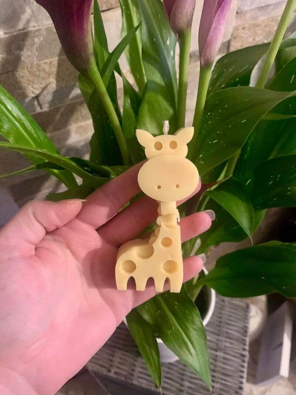 🦒 Girafes