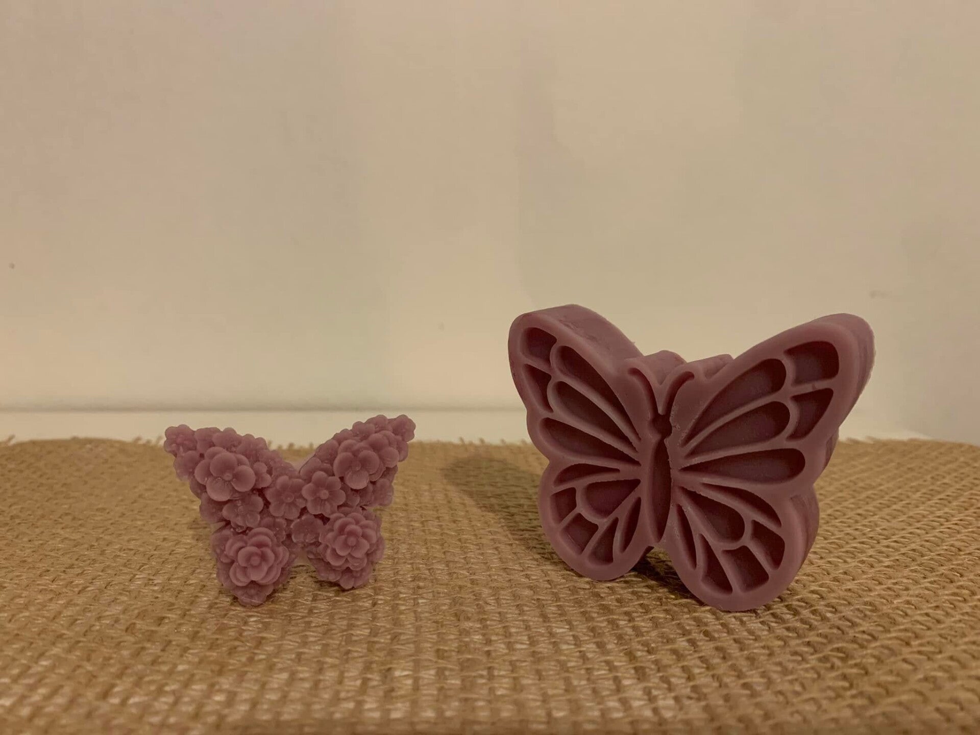 🦋 Papillons