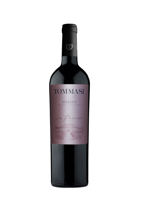 Tommasi - Merlot Le Prunee IGT - Rode Wijn