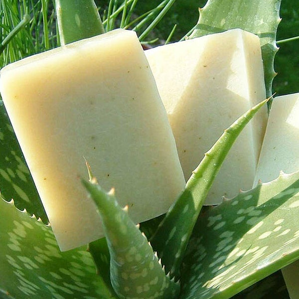 Aloe Aloe Aloe lichaamszeep Chagrin Valley