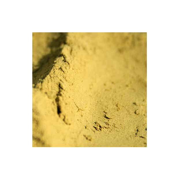 Henna Rajasthani India