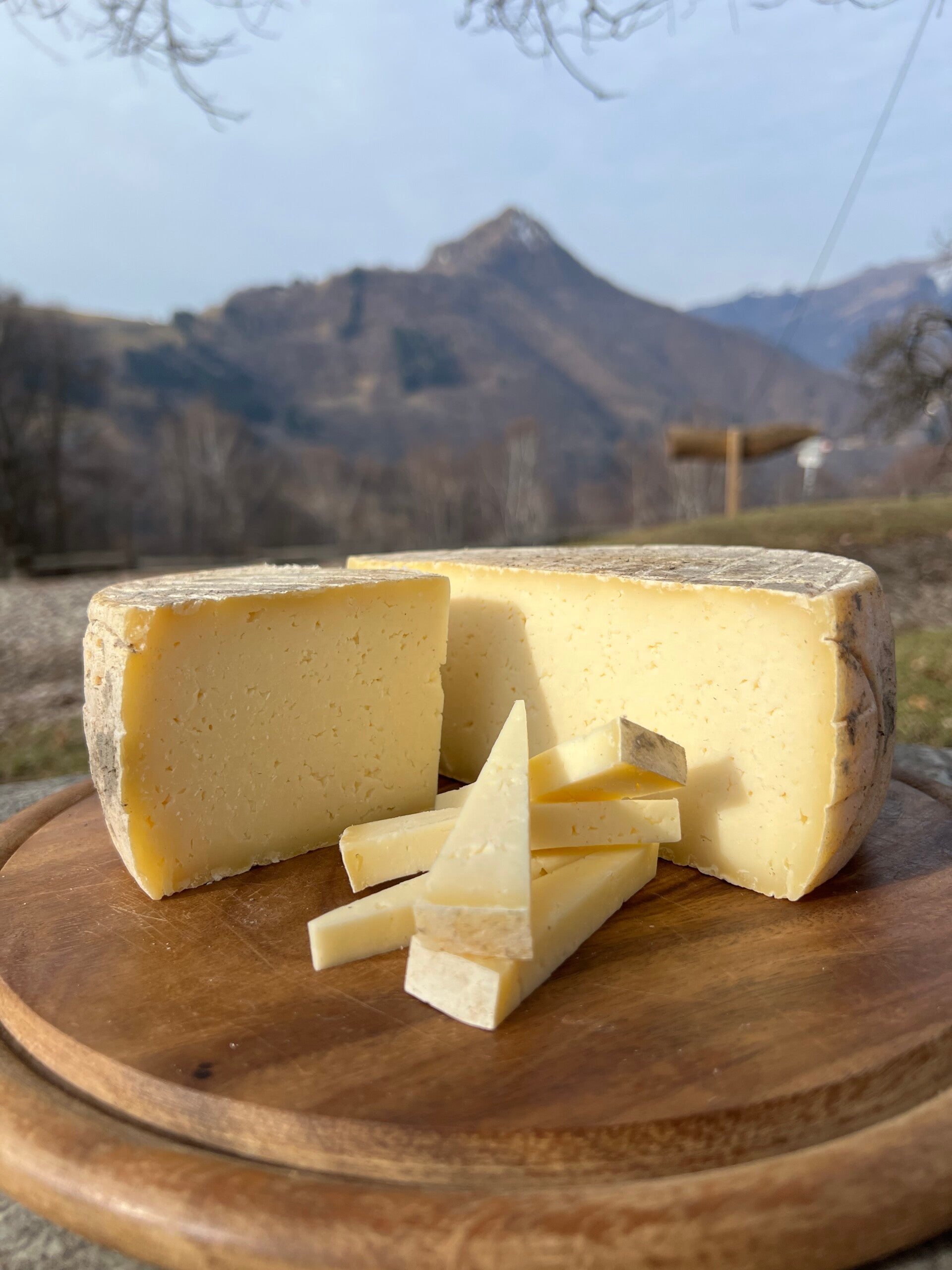 Formaggio Grasso Semi Stagionato