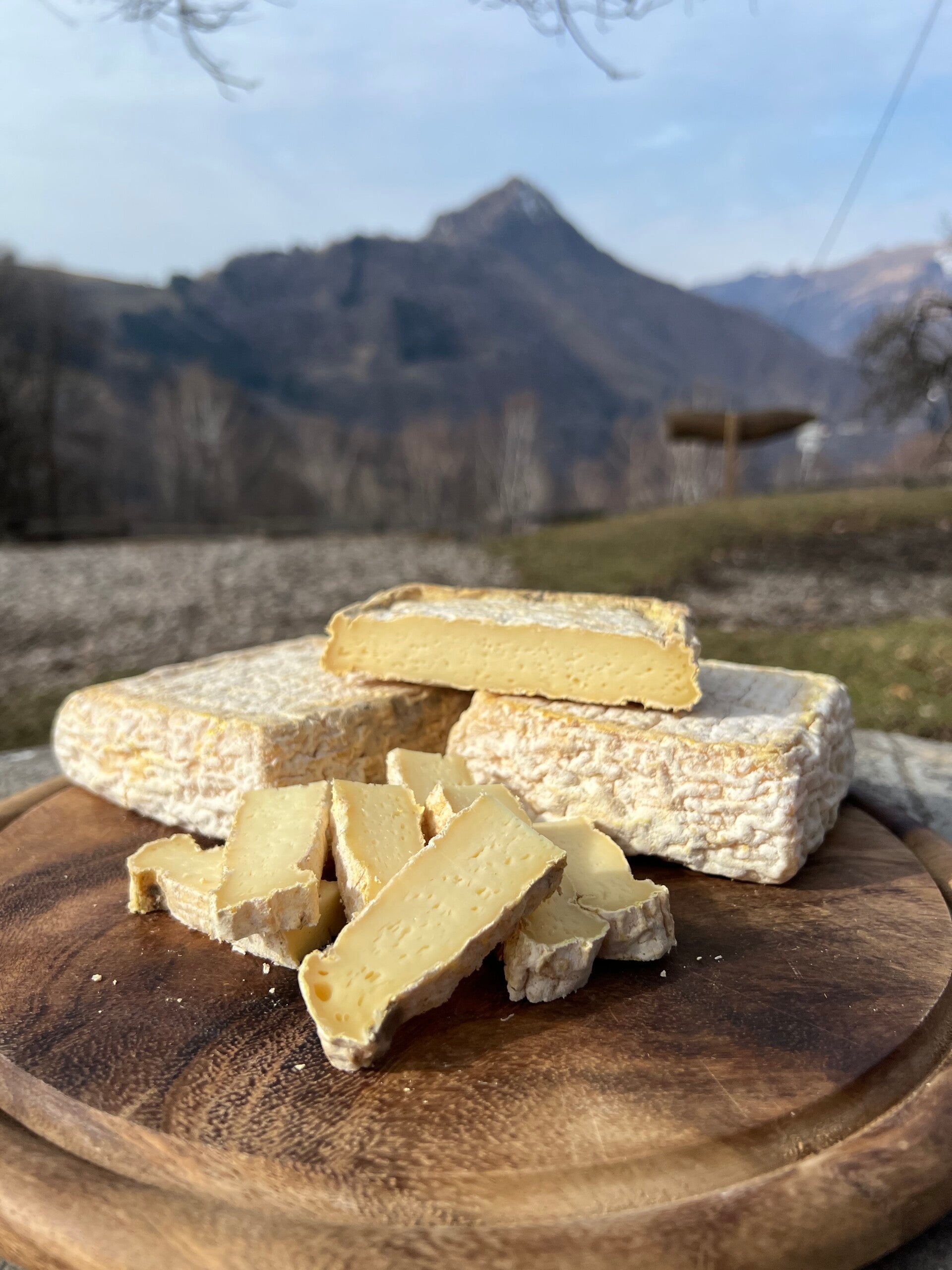 Fior di Fieno (Taleggino)