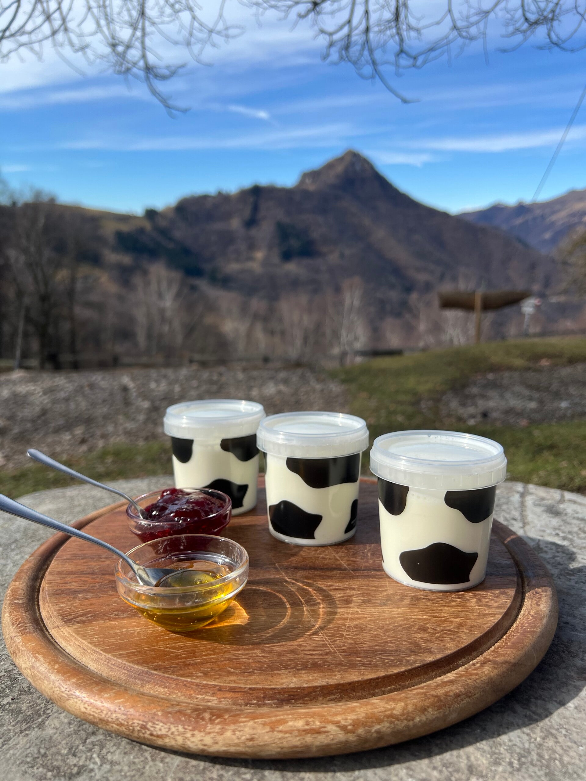 Yogurt Bianco Intero