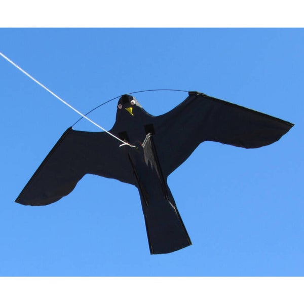 Birdshield Vlieger