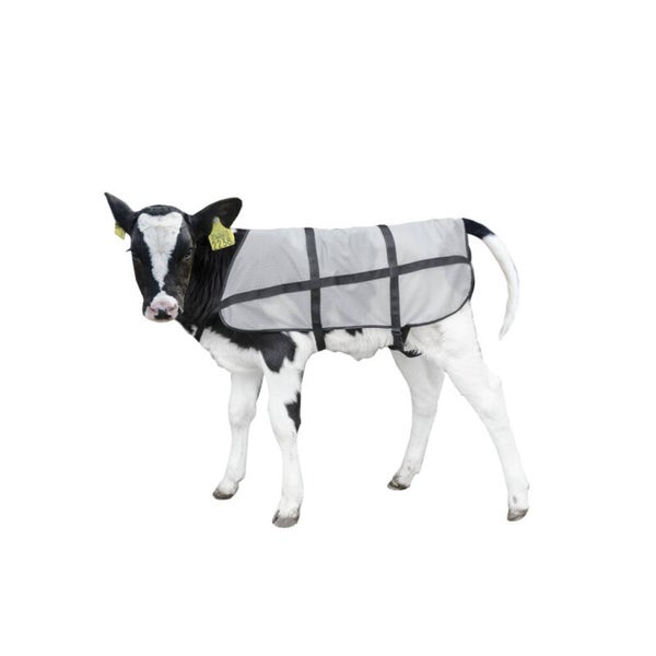 Kalf Zomerdekje