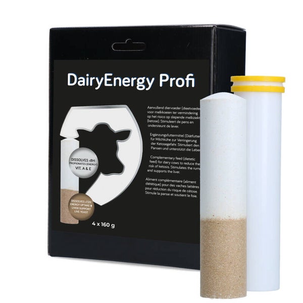 Dairy Energy Bolus 4 x 160 g