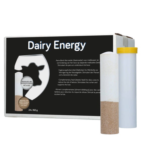 Dairy Energy Bolus 24 x 160 g