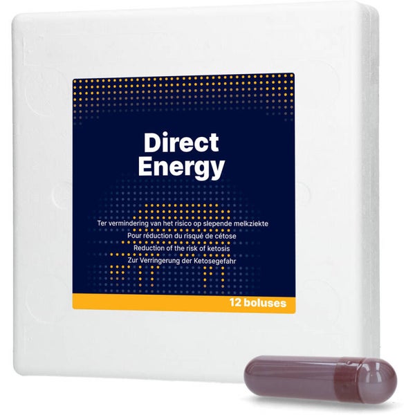 Direct Energy 12 x 67 g Energiebolus ter vermindering van het risico op slepende melkziekte bij melkvee.