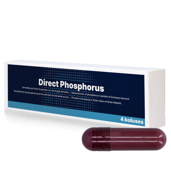 Direct Phosphorus 4 x 123 g Ideaal bij koeien die na het afkalven moeilijk opstarten.