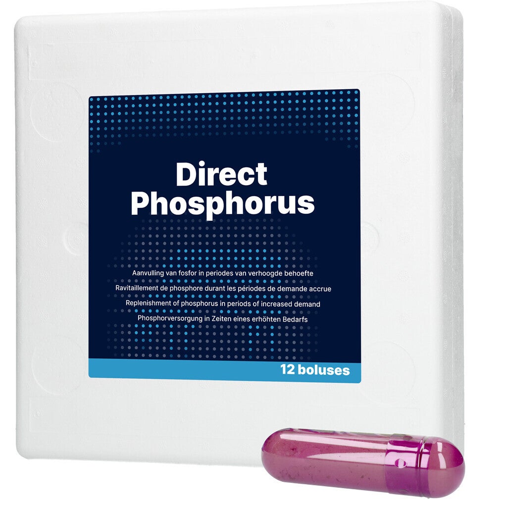 Direct Phosphorus 12 x 123 g Ideaal bij koeien die na het afkalven moeilijk opstarten.