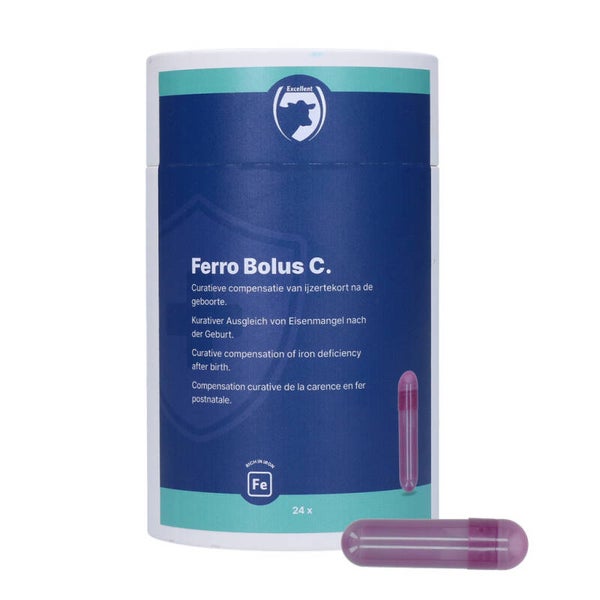 Excellent Ferro Bolus C 24 x 9,5 g
