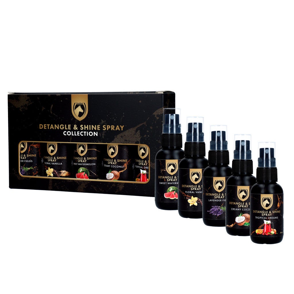 Detangle & Shine Spray Geschenkset 5 x 50 ML