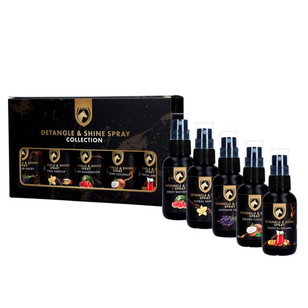 Detangle & Shine Spray Geschenkset 5 x 50 ML