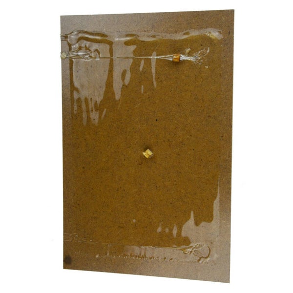 Knock Pest Ongedierte Lijmval 2 vallen