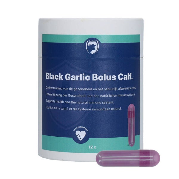 Excellent Black Garlic Bolus Kalf Bolus voor kalveren ter ondersteuning van de gezondheid