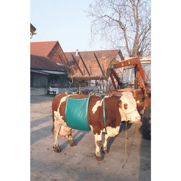 Koelifter